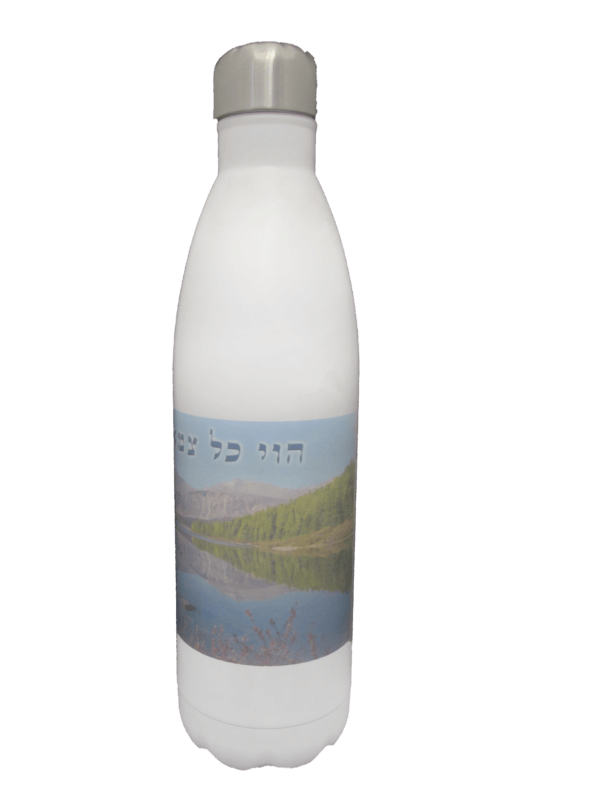 בקבוקבאולינג copy